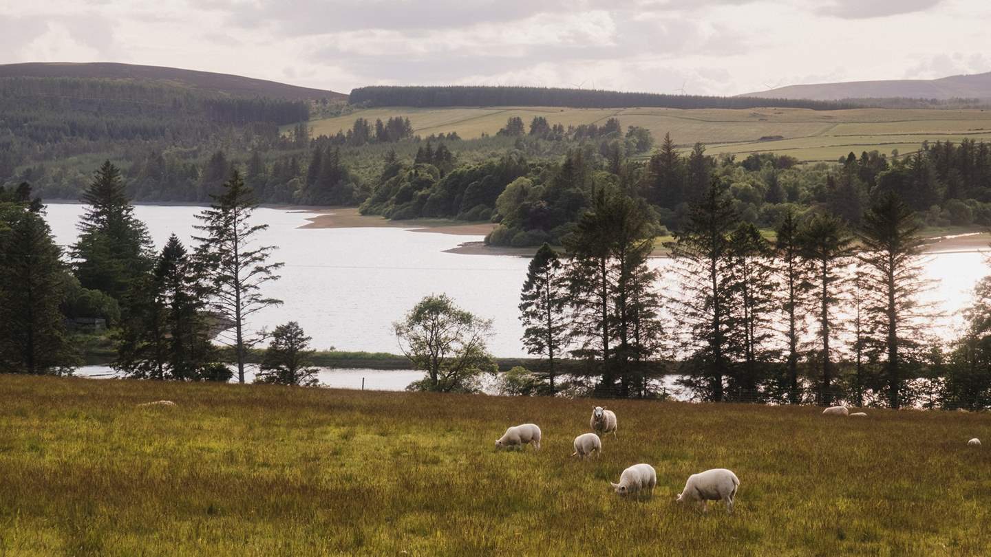 Beautifully scenic, Loch of Lintrathen is only five minutes by car, and is great for water sports and wild swimming