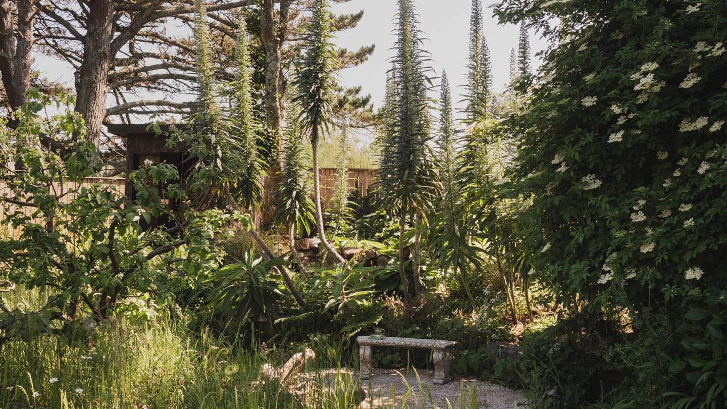 Meander through Moorlands’ beautifully designed botanical gardens for moments in nature