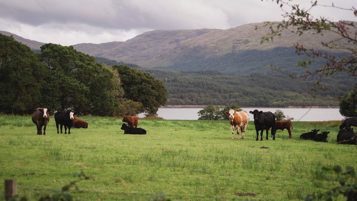 Spend days on foot, with an array of hiking routes waiting to be explored