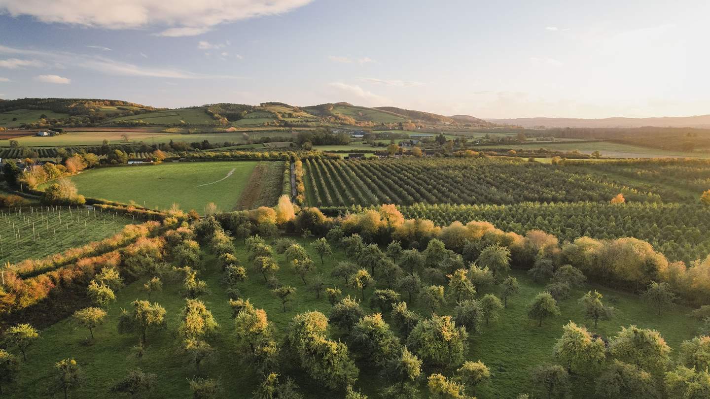 The pastoral scenes of Herefordshire promise otherworldly sojourns for two...