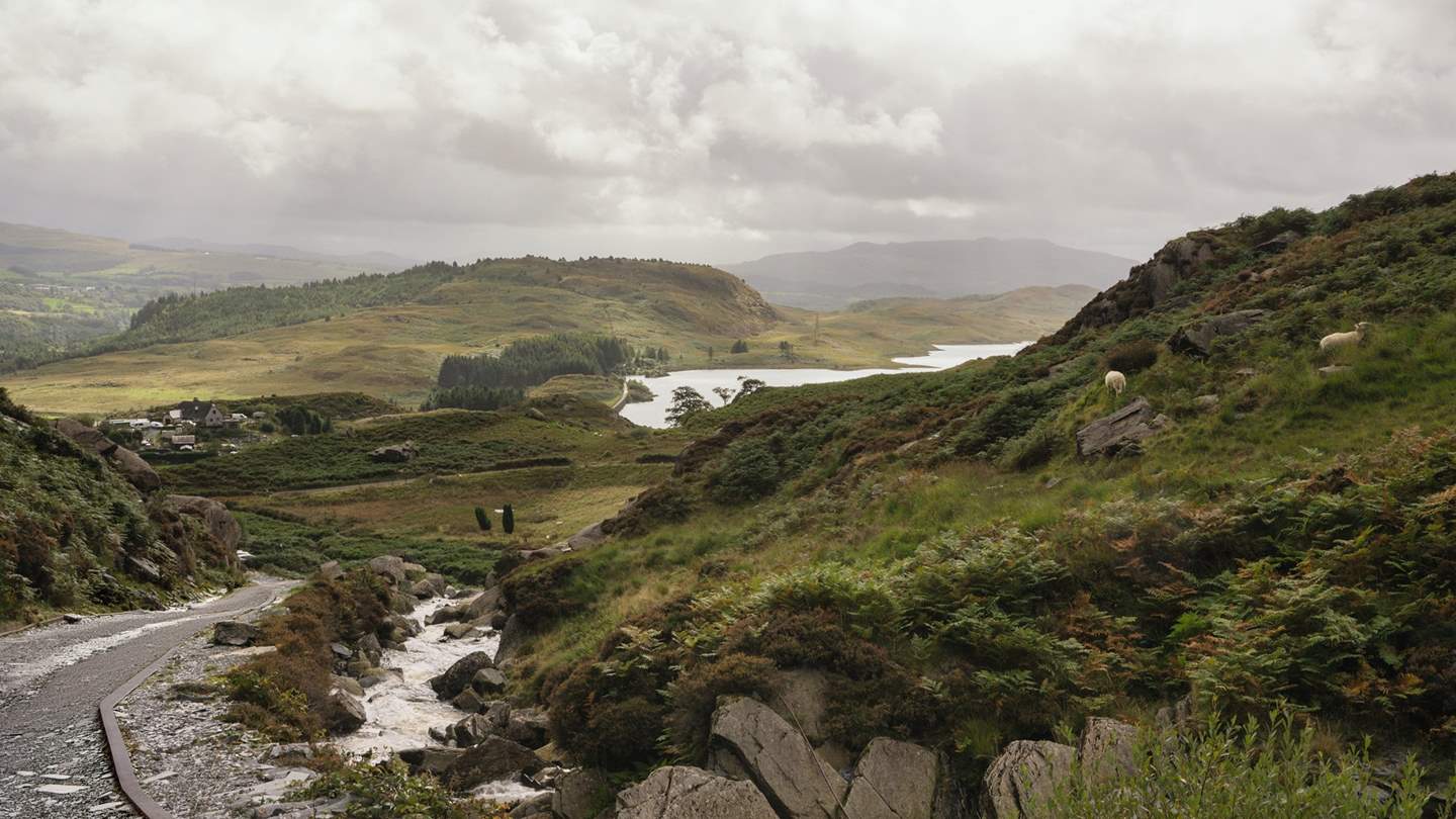 Wander the reservoir and natural lake, Llyn Cwellyn 