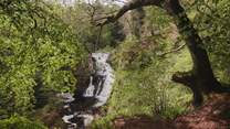 Adventure to the nearby waterfall, Reekie Linn, and explore scenic trails 