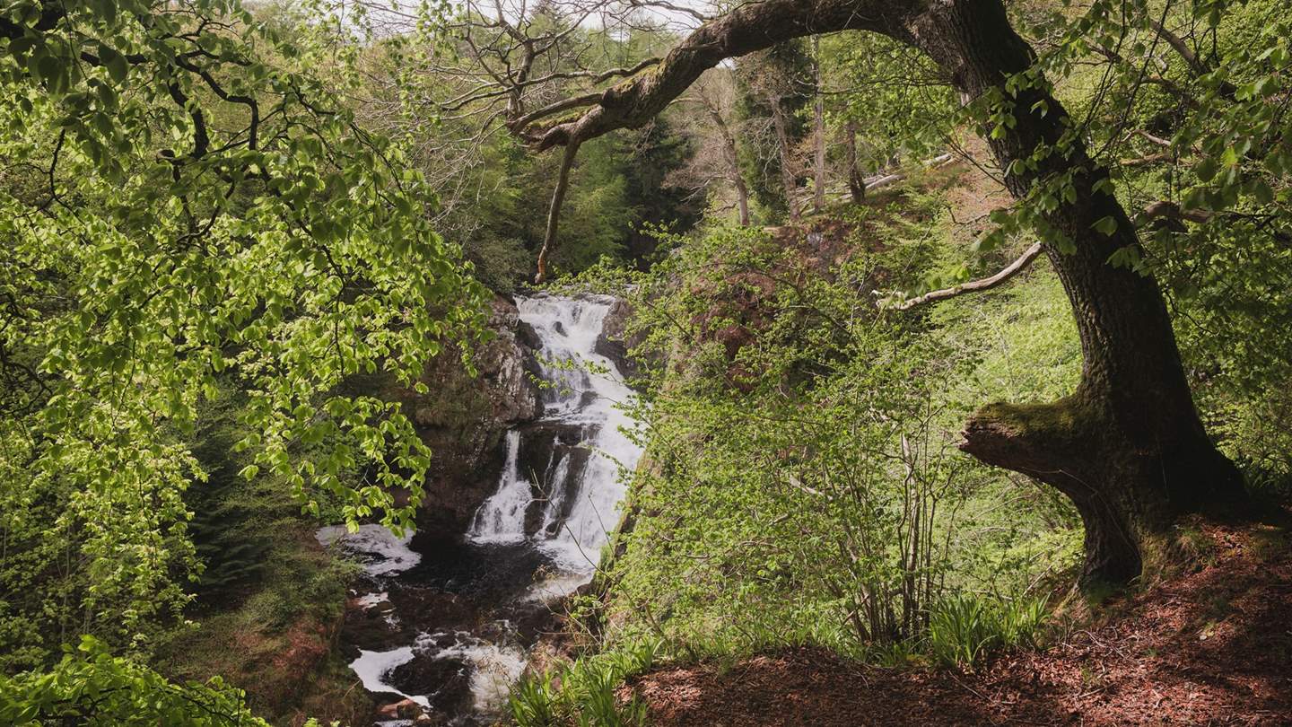 Adventure to the nearby waterfall, Reekie Linn, and explore scenic trails 