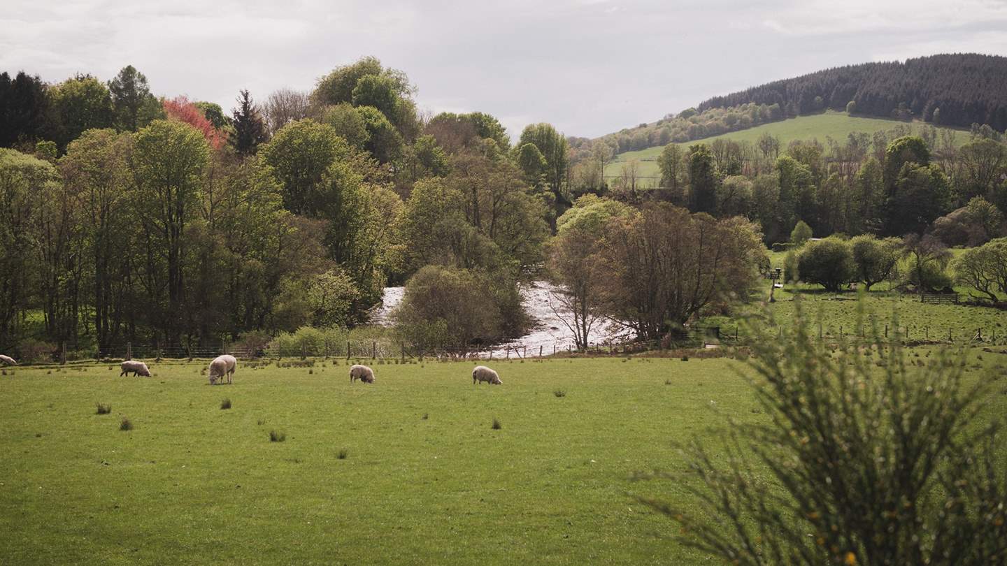 When you’re ready to explore, a plethora of attractions await nearby