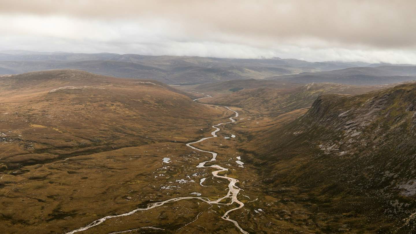From the mountainous realms of the Cairngorms in the north 