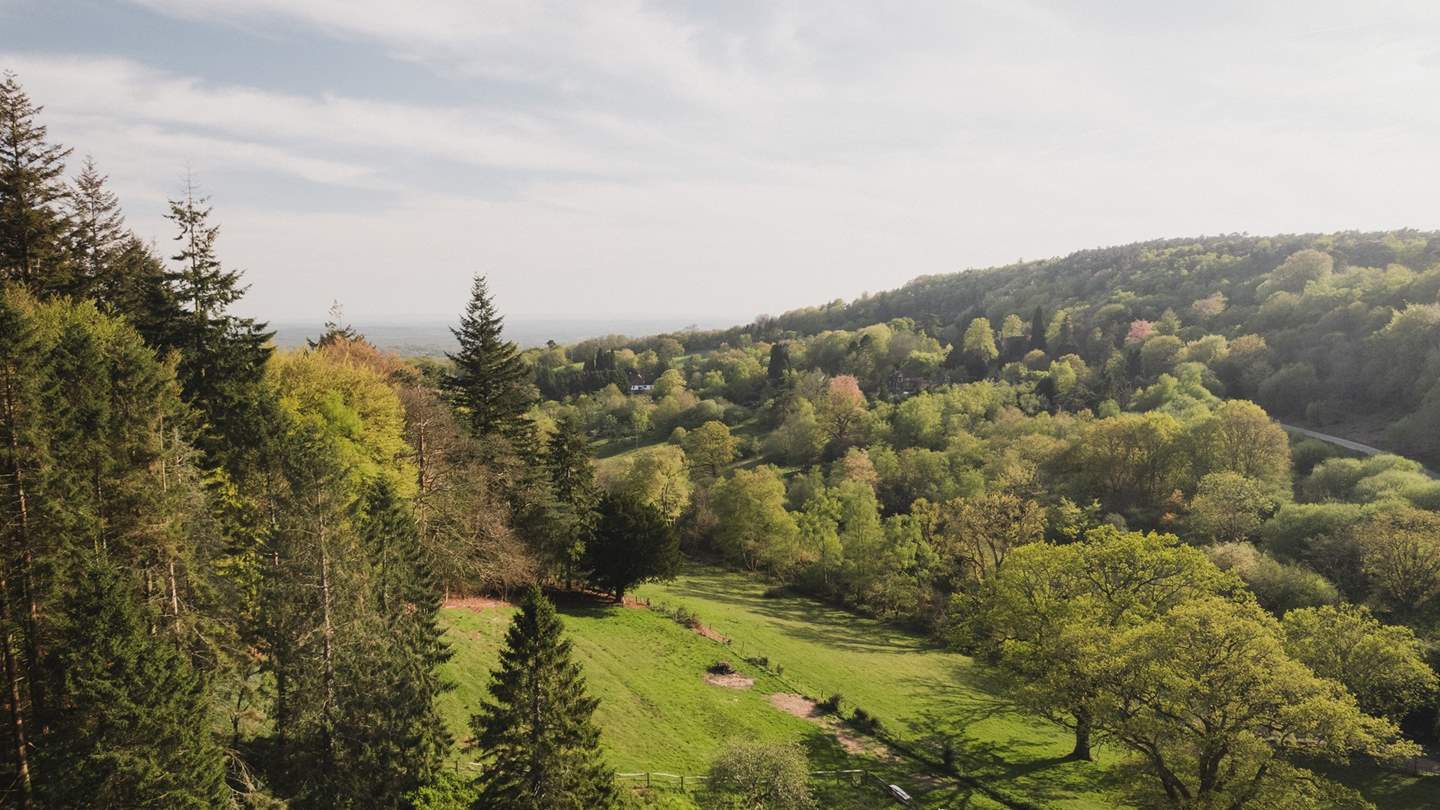 From gentle woodland wanderings to day-long adventures, follow popular trails such as the Leith Hill Circular and the Tillingbourne Loop