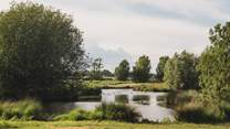 A rose garden can be found beside a lily pond, framed by a willow tree 