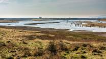 Explore the changing landscape of Rye Nature Reserve