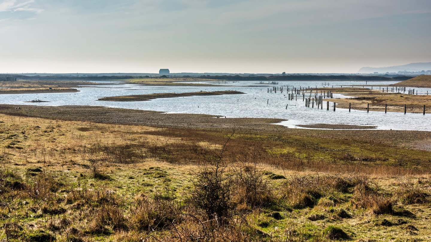 Explore the changing landscape of Rye Nature Reserve