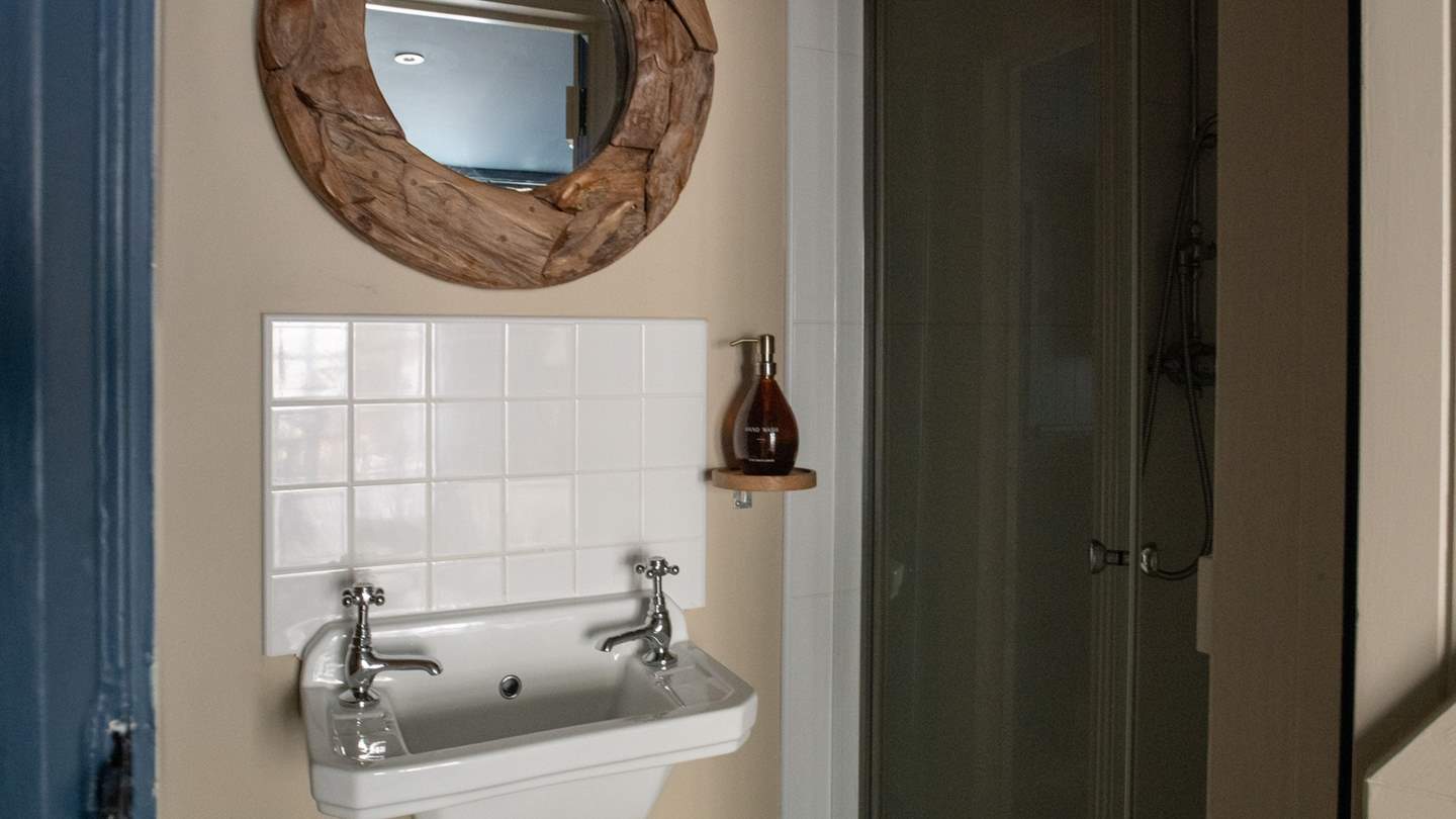 Uncover a small WC with a shower