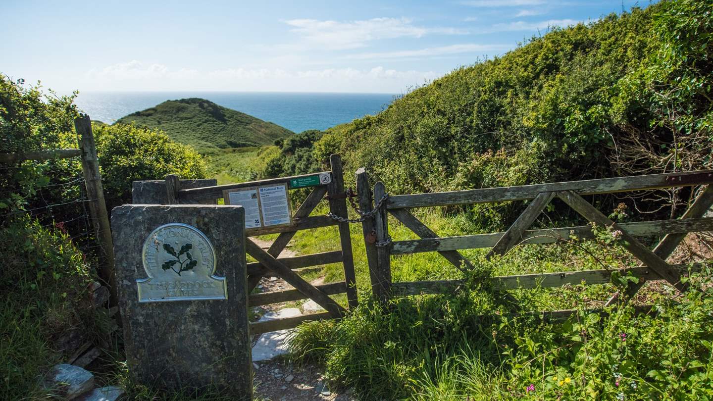 There's lots of walks to discover, without even stepping into a car