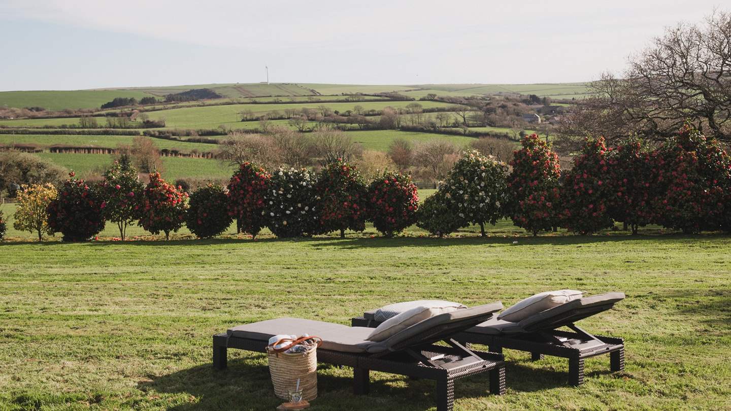 Enjoy golden-moments on the sun loungers, with a glass of something special in hand